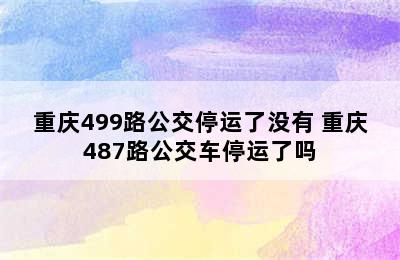 重庆499路公交停运了没有 重庆487路公交车停运了吗